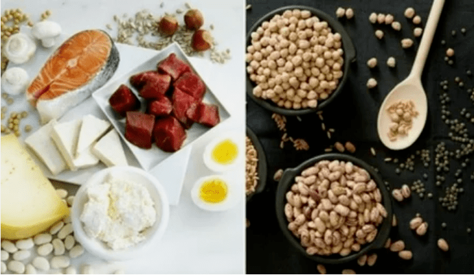 Exemples de produits de régime protéique