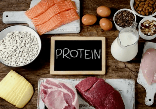 Produits du régime protéique